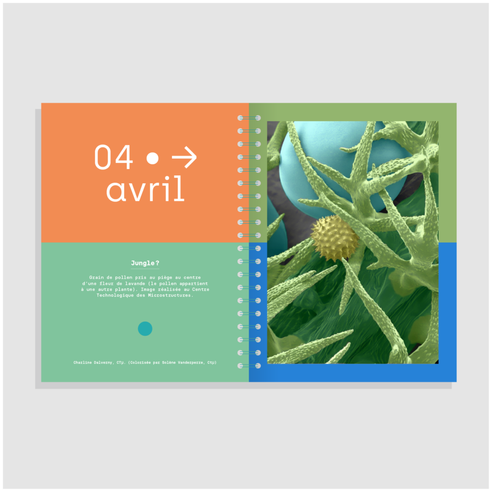 Agenda Université Lyon 1