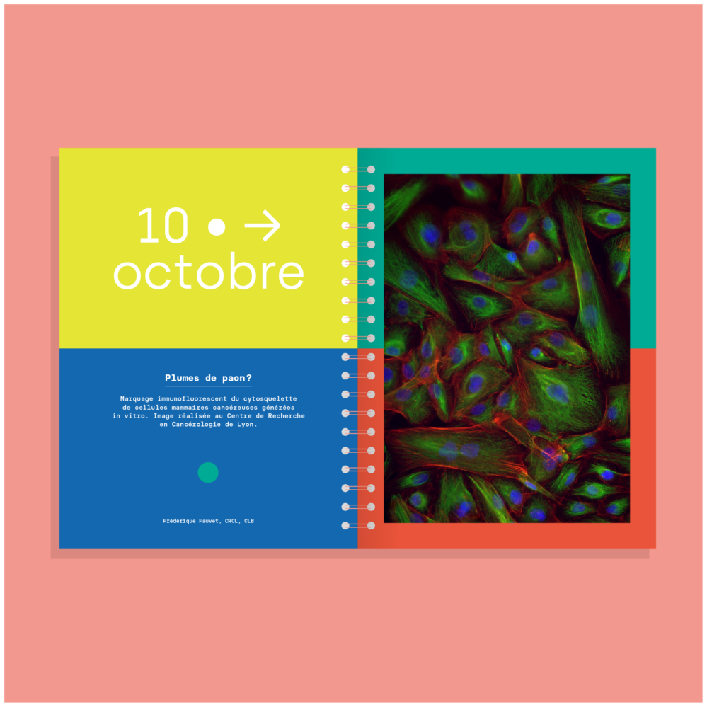 Agenda Université Lyon 1