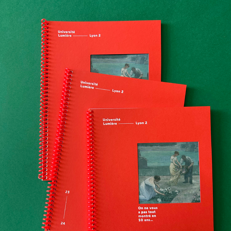 Rapport d’activité — Université Lyon 2