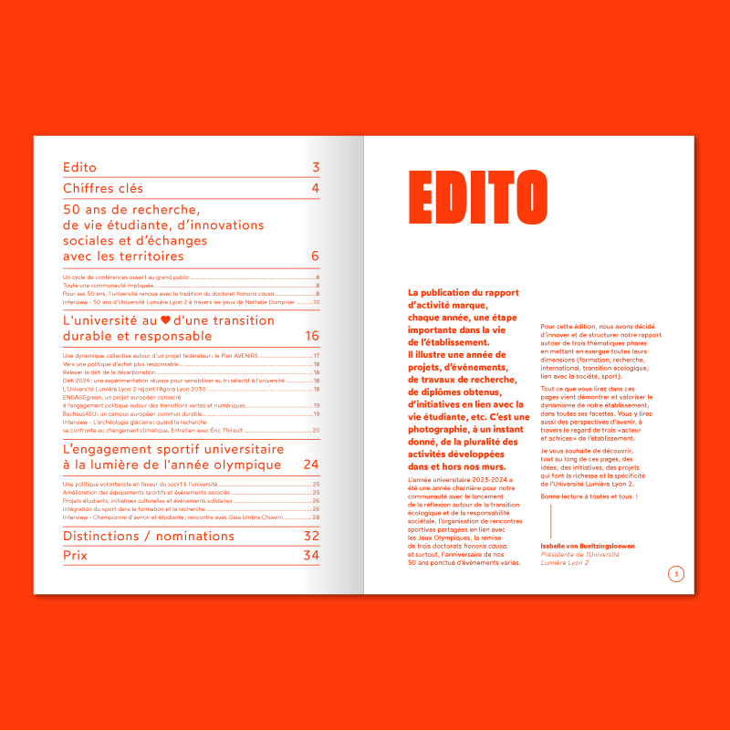 Rapport d’activité — Université Lyon 2